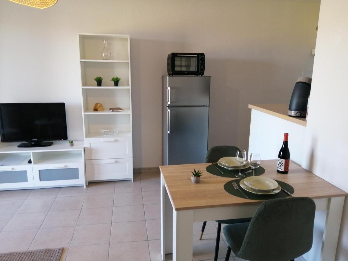 Апартаменты Le Cocon De Marie,Piscine, Balcon, Parking Gratuit, Baignoire Каркассон Экстерьер фото