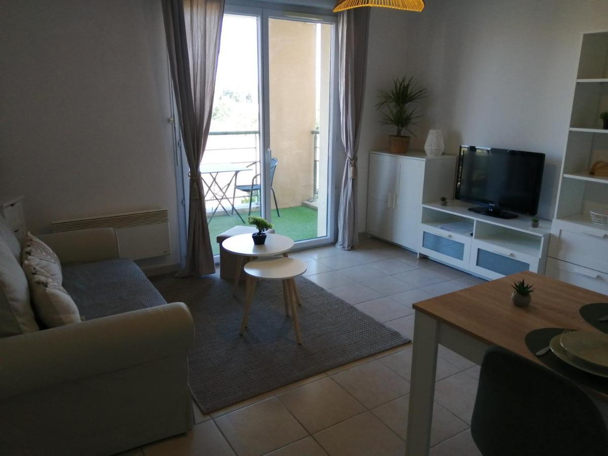 Апартаменты Le Cocon De Marie,Piscine, Balcon, Parking Gratuit, Baignoire Каркассон Экстерьер фото