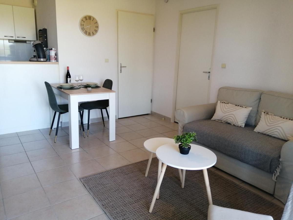 Апартаменты Le Cocon De Marie,Piscine, Balcon, Parking Gratuit, Baignoire Каркассон Экстерьер фото