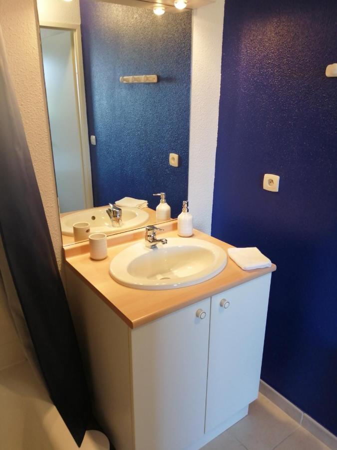 Апартаменты Le Cocon De Marie,Piscine, Balcon, Parking Gratuit, Baignoire Каркассон Экстерьер фото