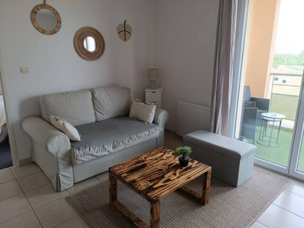 Апартаменты Le Cocon De Marie,Piscine, Balcon, Parking Gratuit, Baignoire Каркассон Экстерьер фото